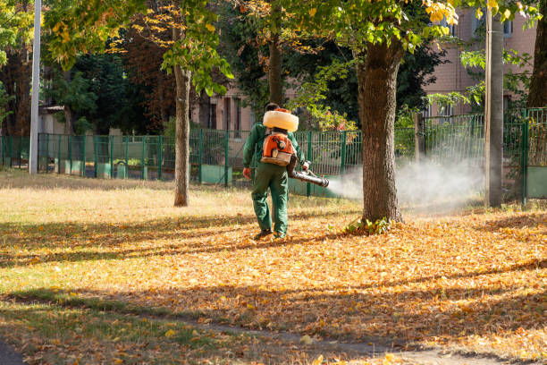 Best Pest Control Cost  in Essex Fells, NJ